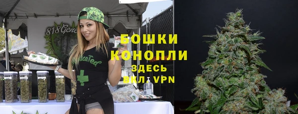 амф Вязьма