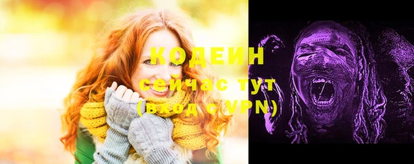 спайс Вяземский